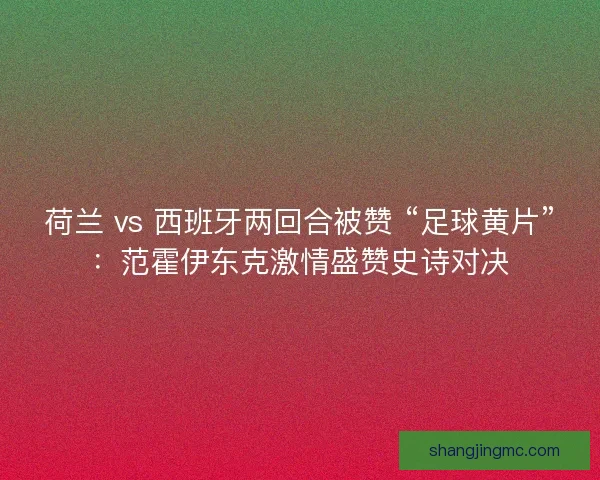 荷兰 vs 西班牙两回合被赞 “足球黄片”：范霍伊东克激情盛赞史诗对决